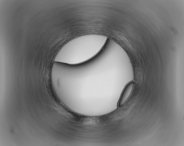 X0000113060077200908280957