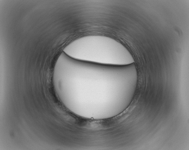 X0000113060078200908280957