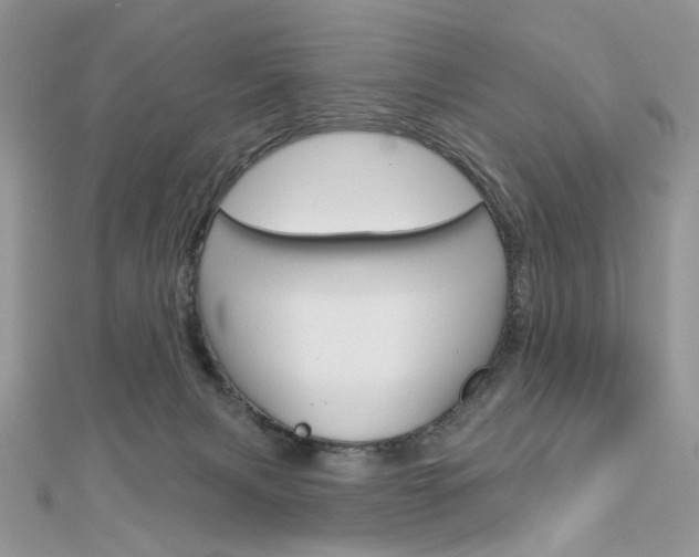 X0000113060079200908280957
