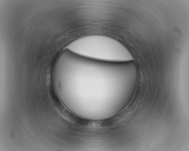 X0000113060080200908280957