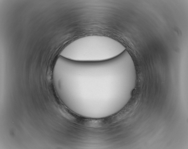 X0000113060081200908280957