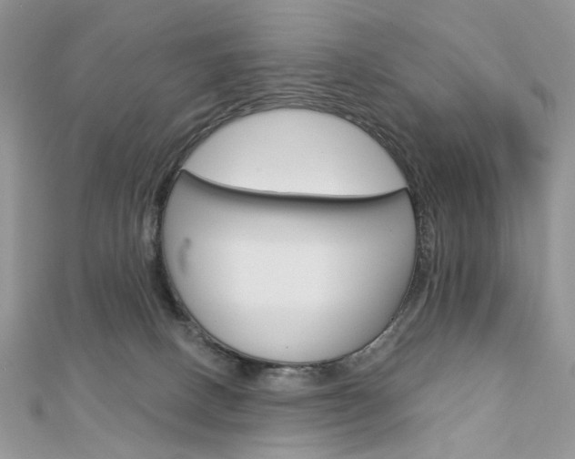 X0000113060082200908280957