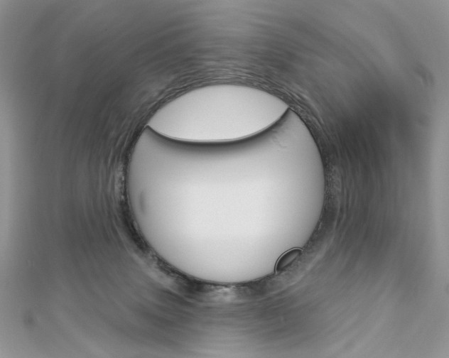 X0000113060083200908280957