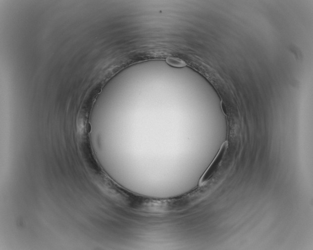 X0000113060084200908280957