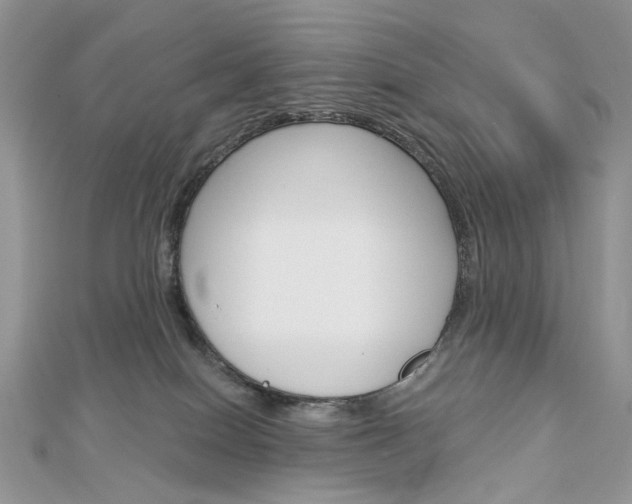 X0000113060086200908280957