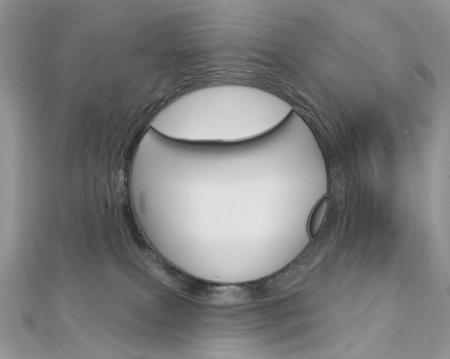 X0000113060087200908280957