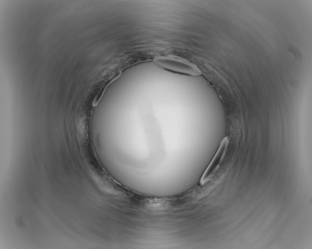 X0000113060088200908280957