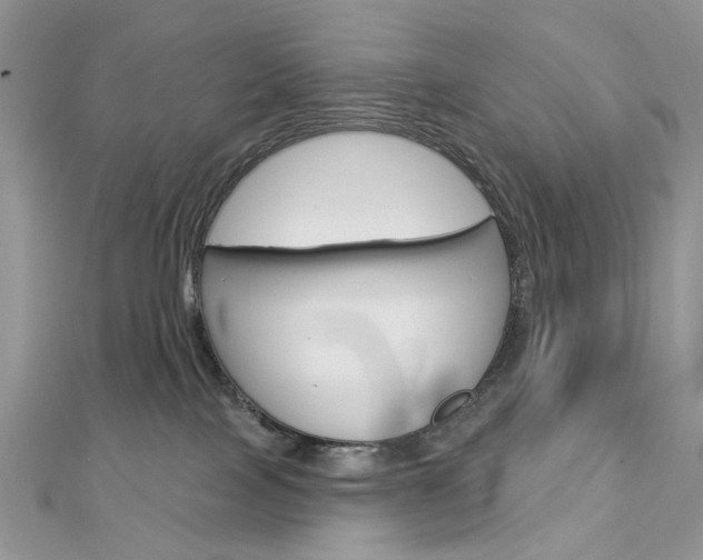 X0000113060089200908280957