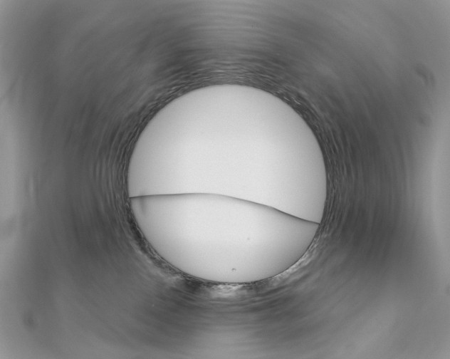 X0000113060090200908280957