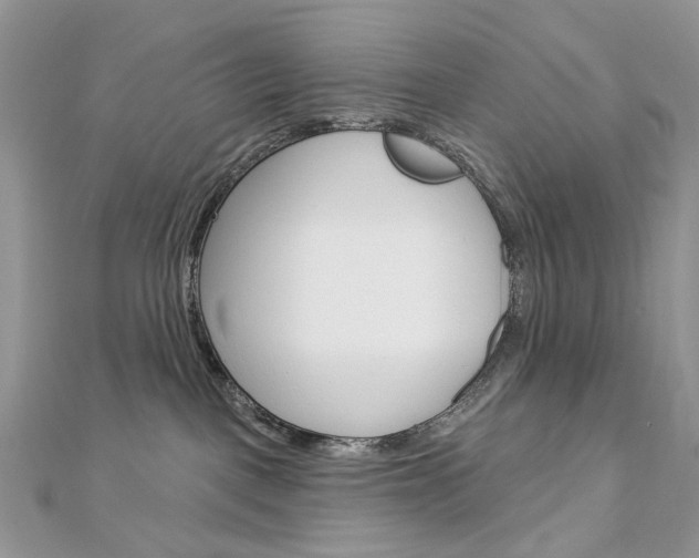 X0000113060093200908280957