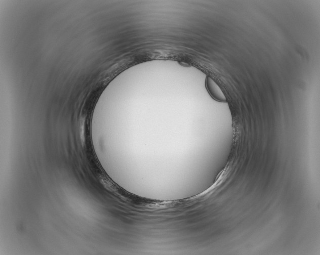 X0000113060094200908280957