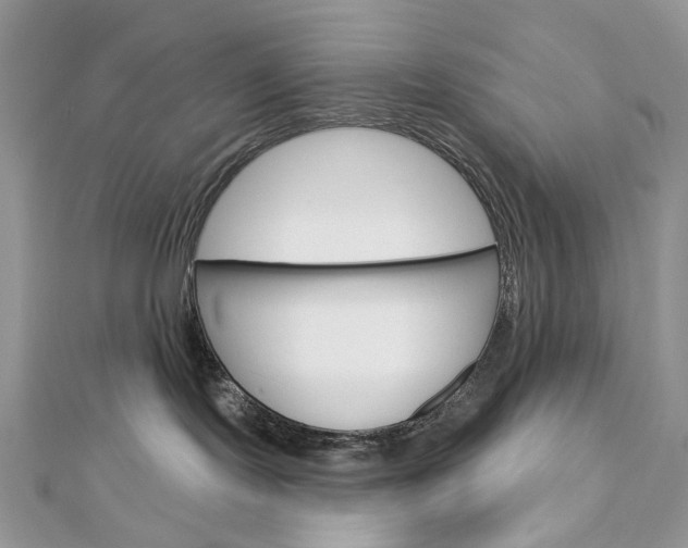 X0000113060095200908280957