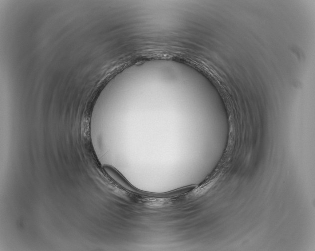 X0000113060096200908280957