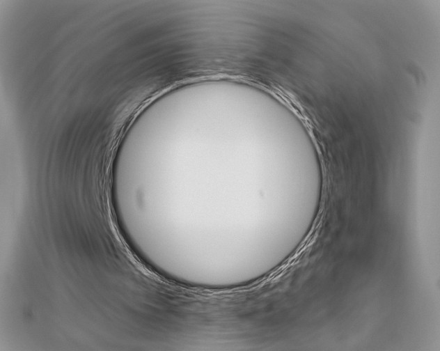 X0000113060097200908280956