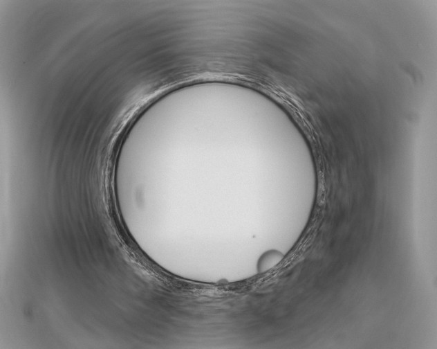 X0000113060098200908280956