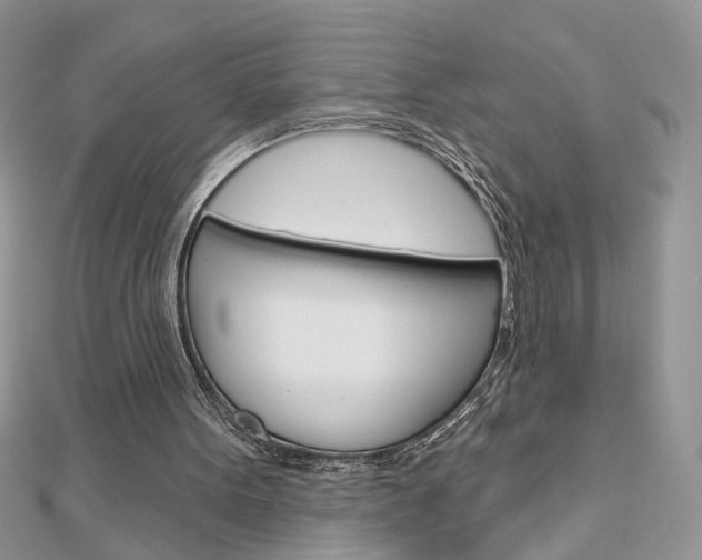 X0000113060099200908280956