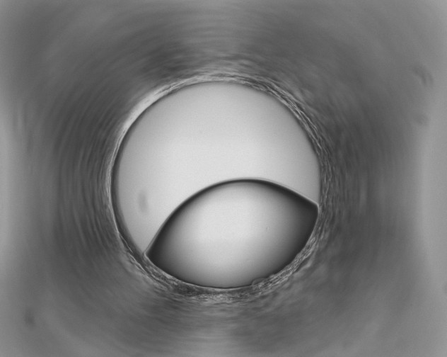 X0000113060100200908280956