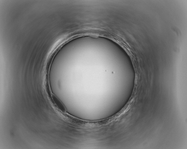X0000113060101200908280956