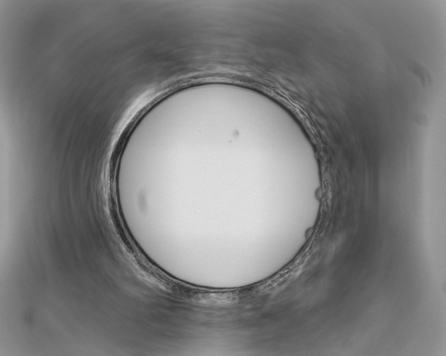 X0000113060102200908280956