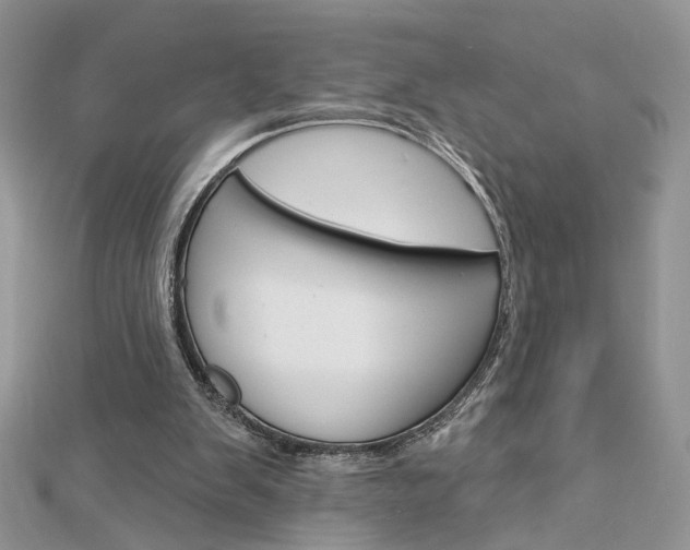 X0000113060103200908280956