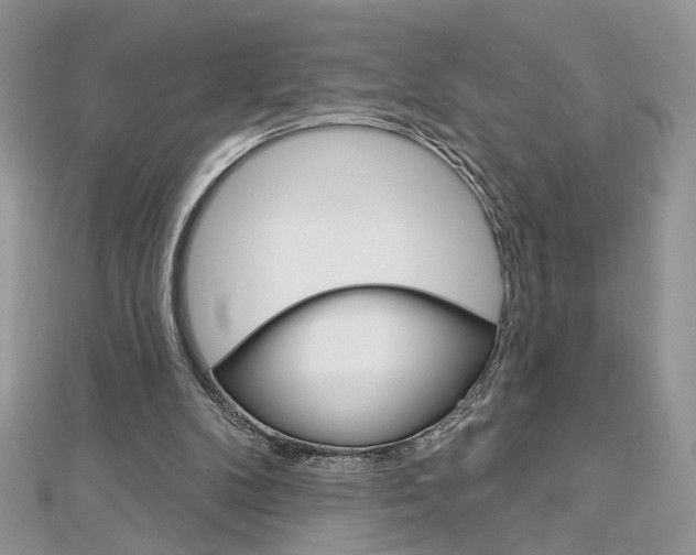 X0000113060104200908280956