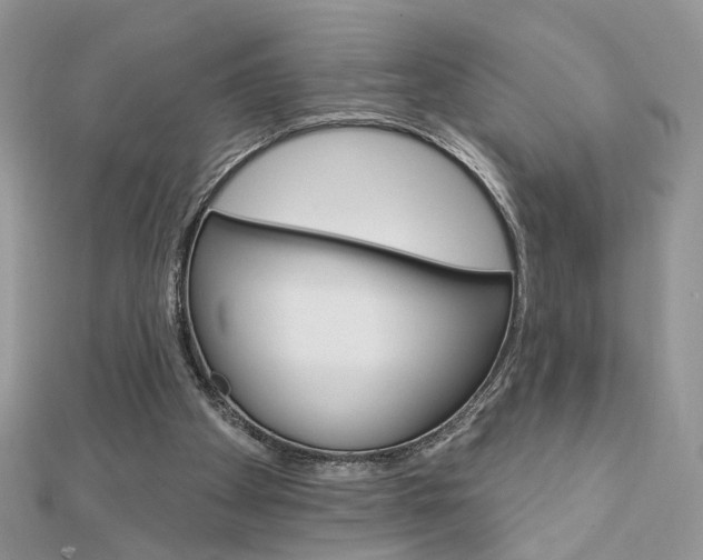 X0000113060105200908280956