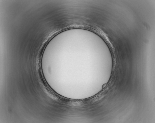 X0000113060106200908280956