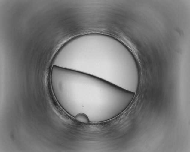 X0000113060107200908280956