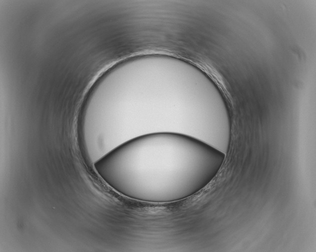 X0000113060108200908280956
