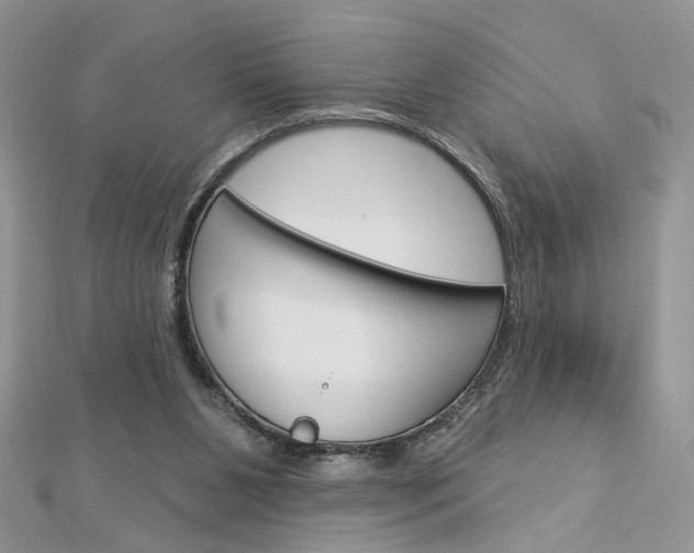 X0000113060111200908280956