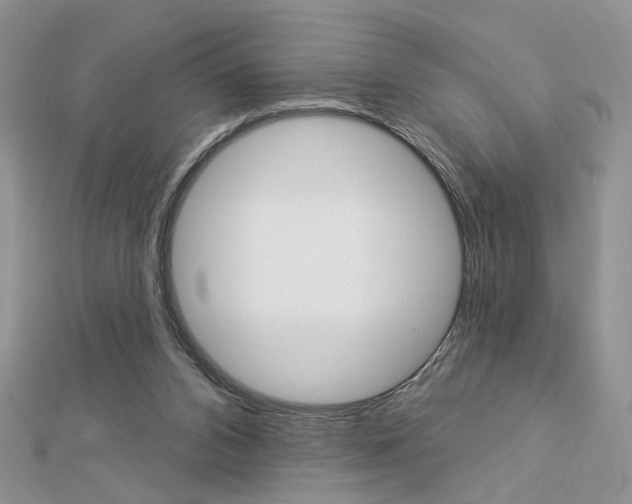 X0000113060112200908280956