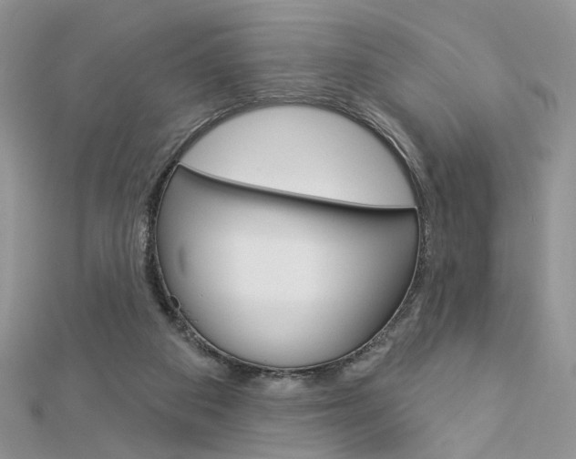 X0000113060113200908280956