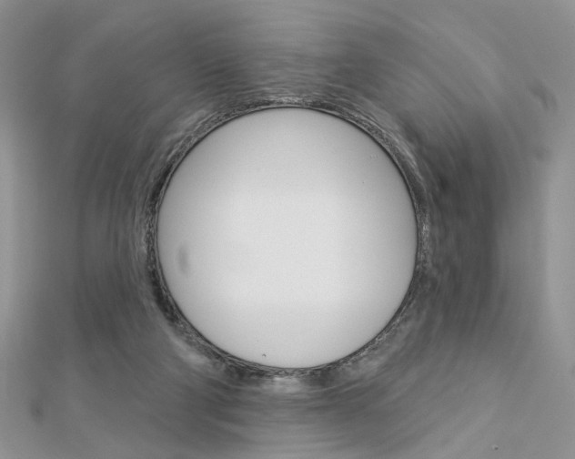 X0000113060114200908280956