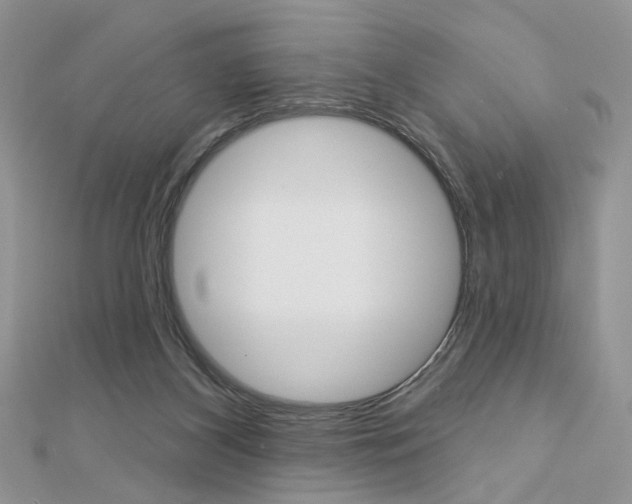 X0000113060116200908280956