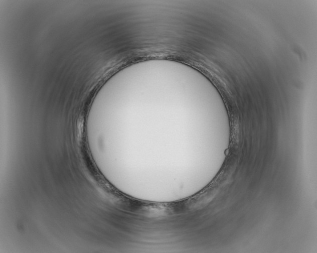 X0000113060118200908280956