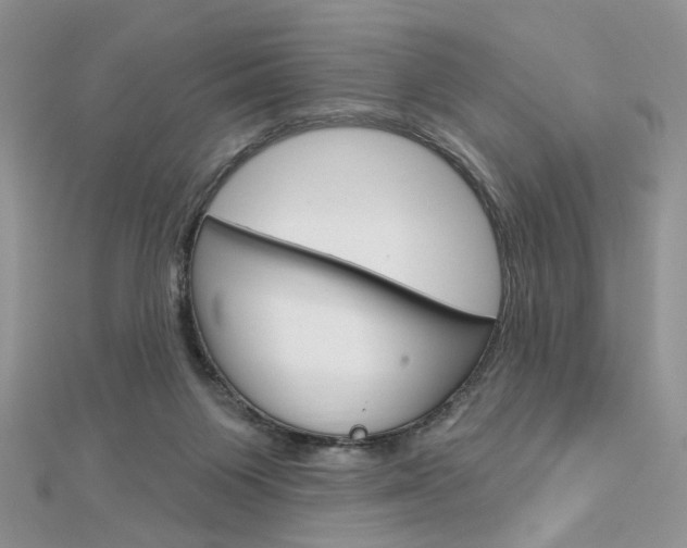 X0000113060119200908280956