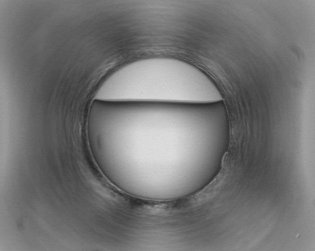 X0000113060120200908280956
