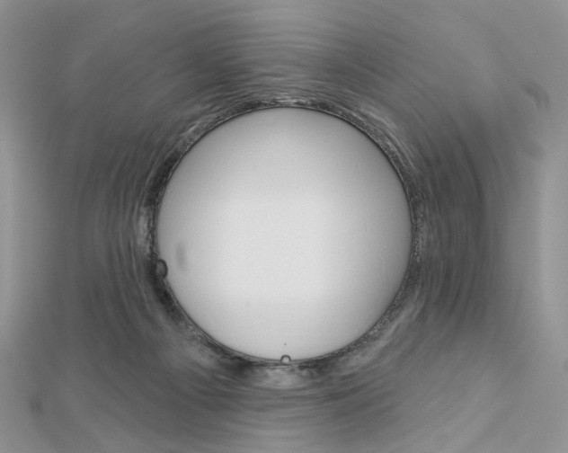 X0000113060121200908280956