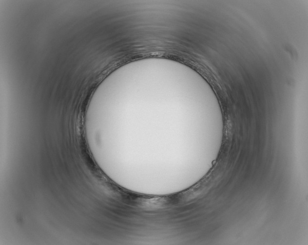 X0000113060122200908280956