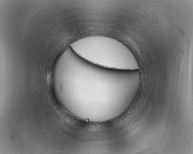X0000113060123200908280956