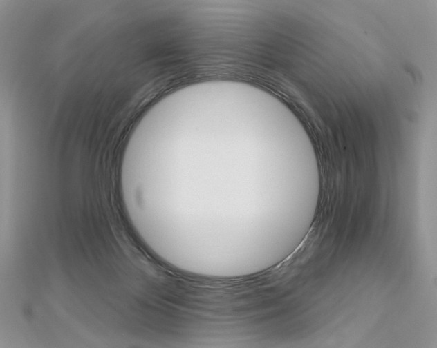 X0000113060124200908280956