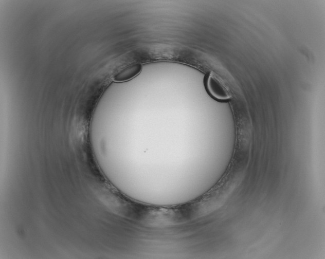 X0000113060125200908280956