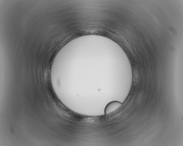 X0000113060126200908280956