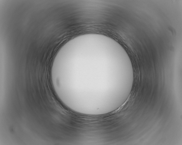 X0000113060128200908280956