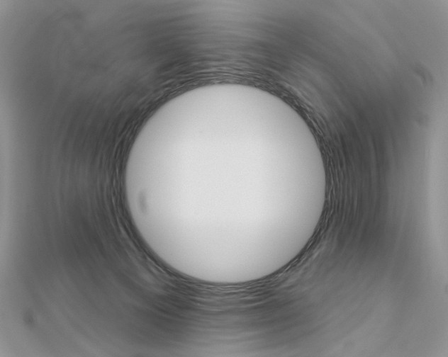 X0000113060129200908280956