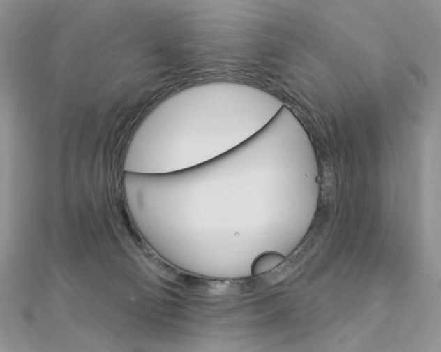 X0000113060130200908280956
