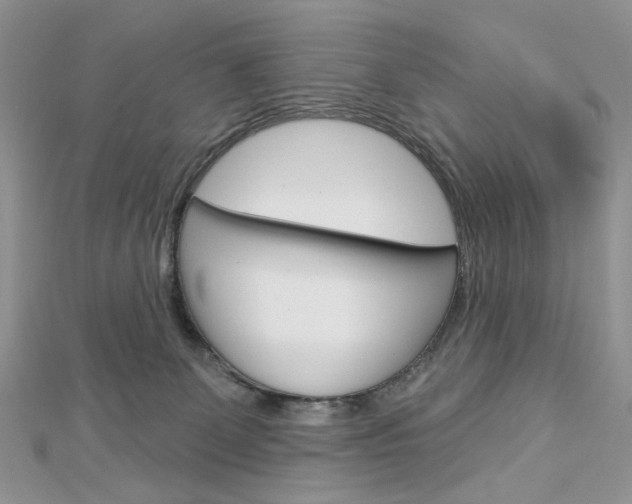 X0000113060131200908280956