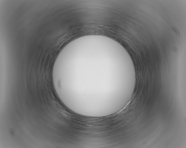 X0000113060132200908280956