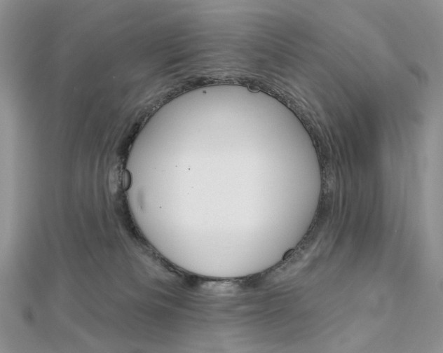 X0000113060133200908280956