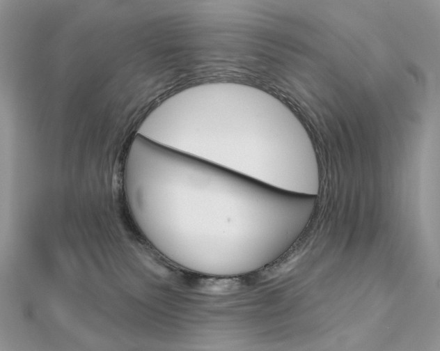 X0000113060135200908280956